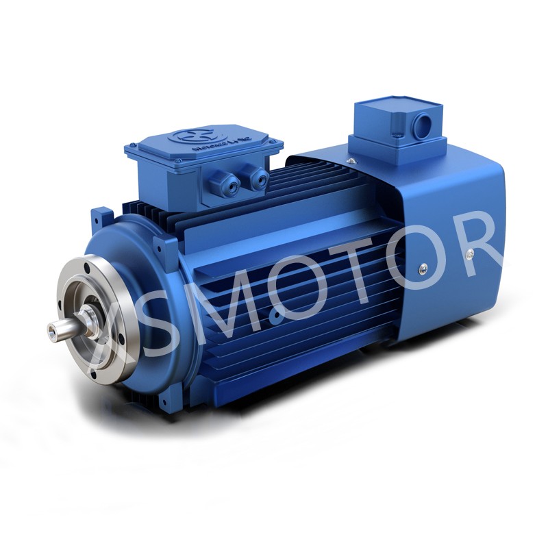 減速機專(zhuān)用直聯(lián)式變頻調速電動(dòng)機